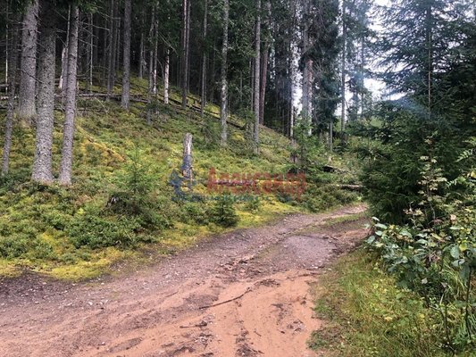 Объект по адресу Москва, Моторное п 