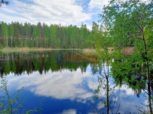 Объект по адресу Москва, Бор д 