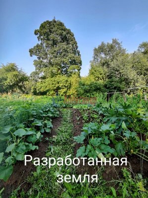 Объект по адресу Москва, 2-й микрорайон (Большевик промзона) зона, 17/1 строение 2 