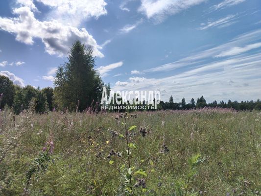 Объект по адресу Москва, Елошня д 