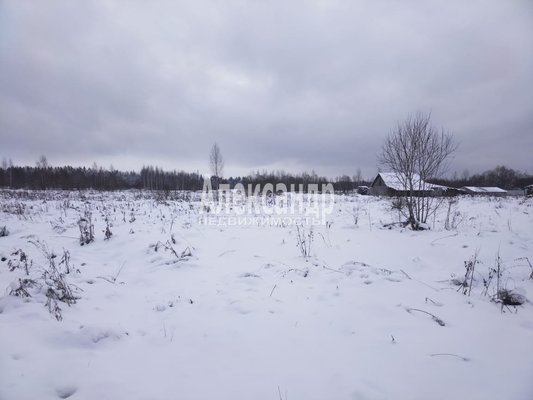 Объект по адресу Москва, Елошня д 