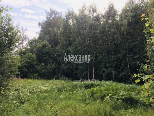 Объект по адресу Москва, Кравцово п 