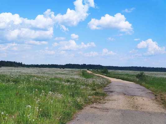 Объект по адресу Москва, Лампово д 