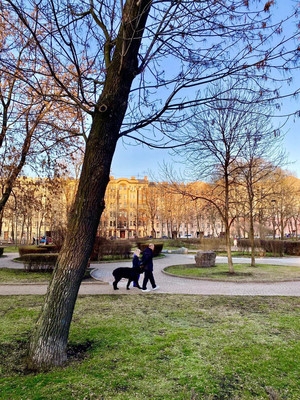 Фото квартиры по адресу Санкт-Петербург г, Большой В.О. пр-кт, д. 101