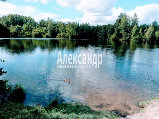 Объект по адресу Москва, Захожье-6 массив Захожье снт, 32 
