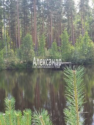 Объект по адресу Москва, Коккорево д 