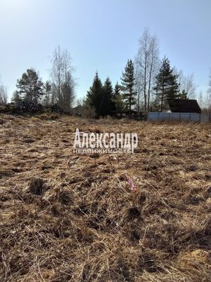 Объект по адресу Москва, Пчелино п 