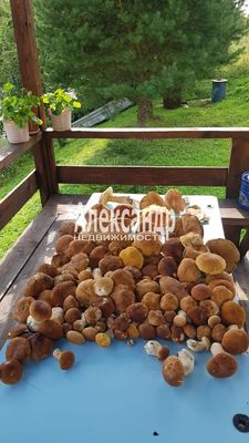 Объект по адресу Москва, Шурягские Караулки д 