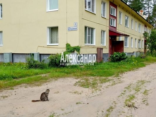 Объект по адресу Ленинградская обл, Приозерский р-н, Понтонное п, Молодежная ул, д. 2