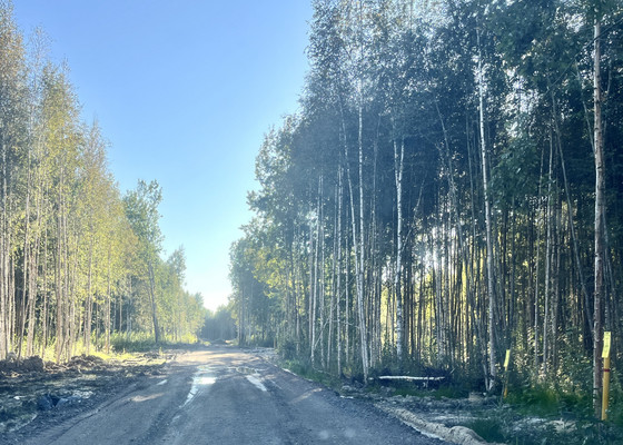 Объект по адресу Санкт-Петербург г, Гоголя ул