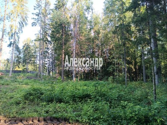 Объект по адресу Москва, Бор п 