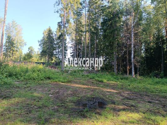 Объект по адресу Москва, Бор п 