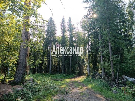 Объект по адресу Москва, Бор п 