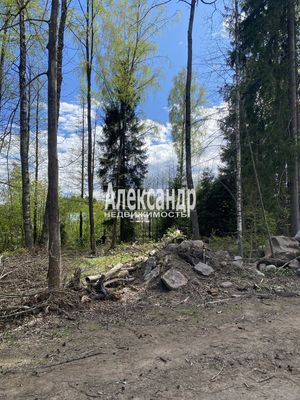 Объект по адресу Москва, Подборовье п 