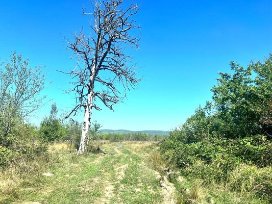 Объект по адресу Краснодарский край, Апшеронский р-н, Ковыльная ул