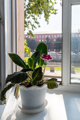 Объект по адресу Санкт-Петербург г, Обводного канала наб, д. 209литераа