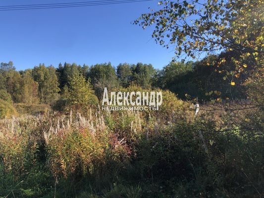 Объект по адресу Москва, Боровое п 