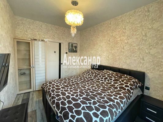 Объект по адресу Санкт-Петербург г, Новая ул, д. 51к10