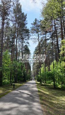 Объект по адресу Ленинградская обл, Лужский р-н, Слапи д, Центральная ул, д. 10А