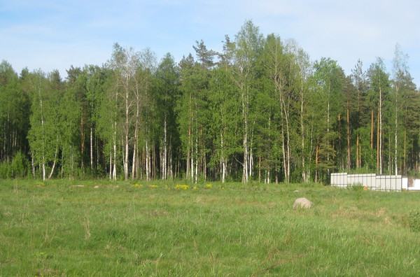 Объект по адресу Ленинградская обл, Всеволожский р-н, Дубровка пгт, Выборгская ул, д. 4
