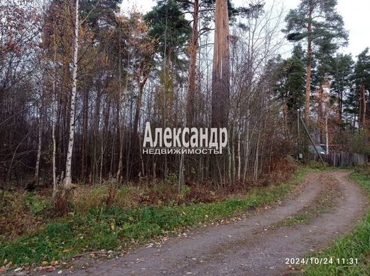 Объект по адресу Москва, Ромашки п 