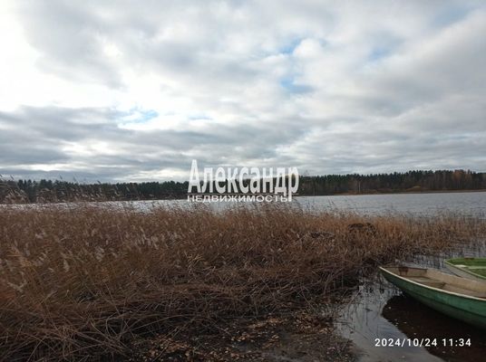 Объект по адресу Москва, Ромашки п 