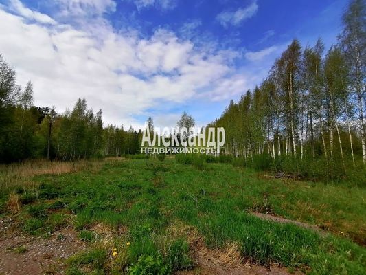 Объект по адресу Москва, ДНП Северное раздолье тер 