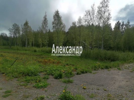 Объект по адресу Москва, ДНП Северное раздолье тер 