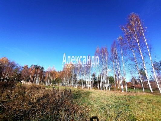 Объект по адресу Москва, ДНП Северное раздолье тер 