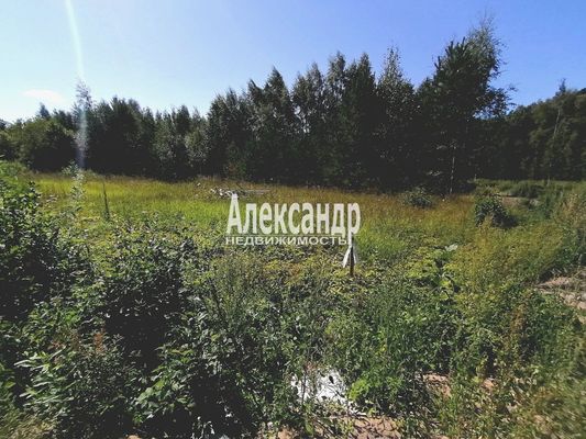 Объект по адресу Москва, ДНП Северное раздолье тер 