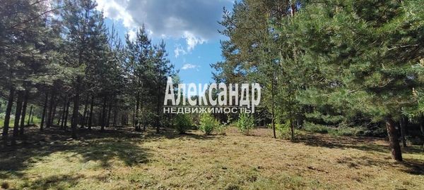 Объект по адресу Москва, Плодовое п 
