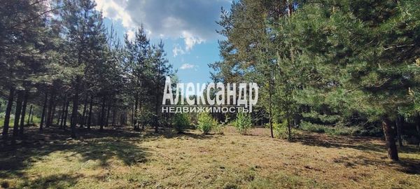 Объект по адресу Москва, Плодовое п 