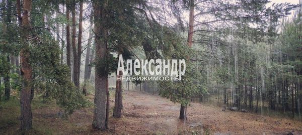 Объект по адресу Москва, Плодовое п 