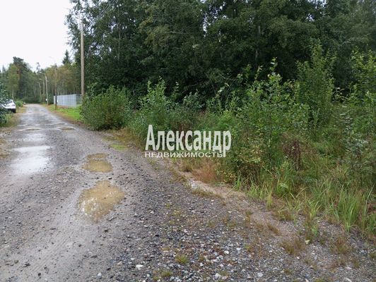 Объект по адресу Москва, Синево п 