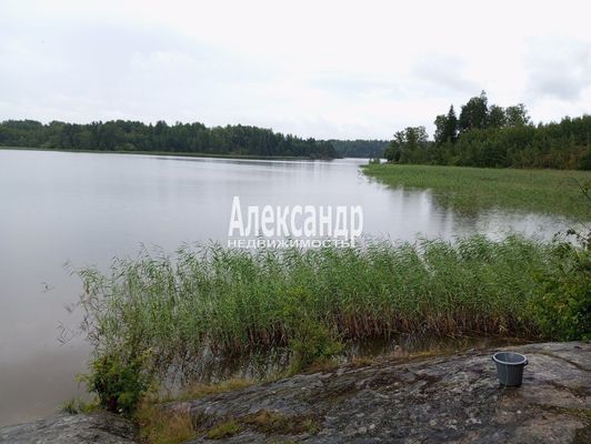 Объект по адресу Москва, Синево п 