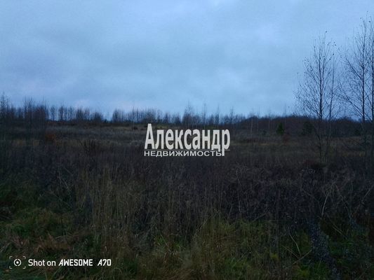 Объект по адресу Москва, Бор д 