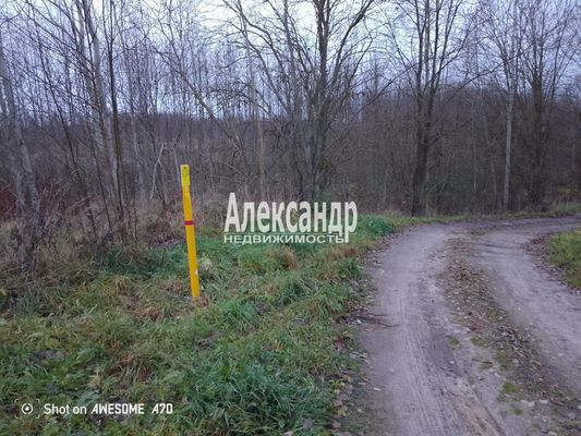 Объект по адресу Москва, Бор д 