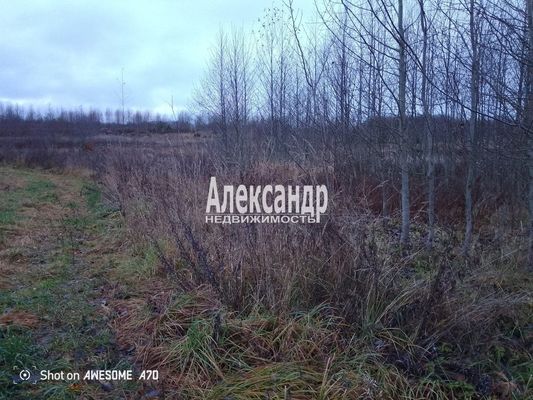 Объект по адресу Москва, Бор д 