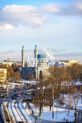 Объект по адресу Санкт-Петербург г, Кронверкский пр-кт, д. 23