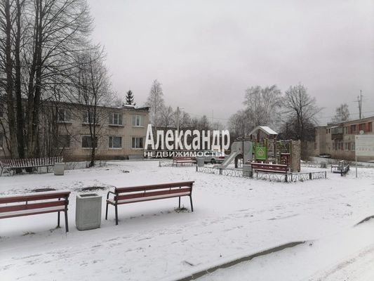 Объект по адресу Ленинградская обл, Тосненский р-н, Рябово гп, Новая ул, д. 3