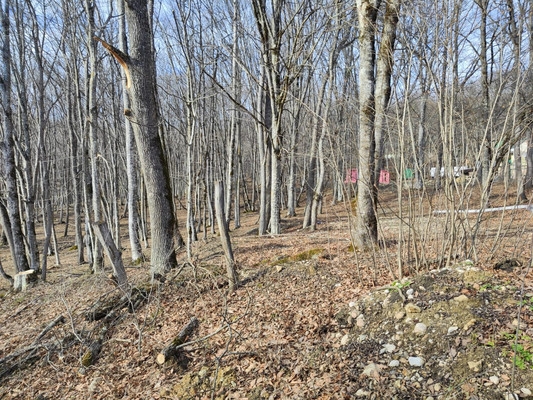 Объект по адресу Краснодарский край, Апшеронский р-н, Мезмай п, Лесной пер, д. 6