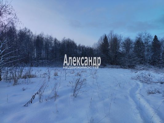 Объект по адресу Москва, Горка-Хваловская д 