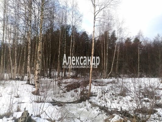 Объект по адресу Москва, ДНП Северное раздолье тер 
