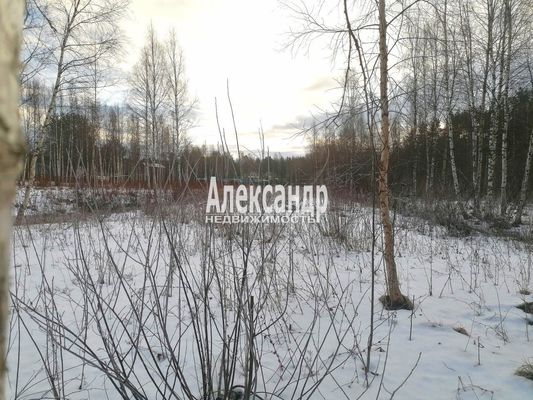 Объект по адресу Москва, ДНП Северное раздолье тер 