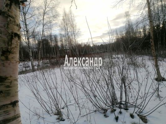 Объект по адресу Москва, ДНП Северное раздолье тер 