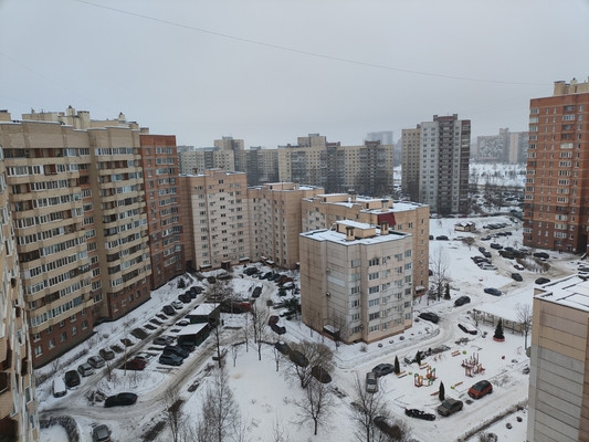 Объект по адресу Санкт-Петербург г, Малая Бухарестская ул, д. 5к2