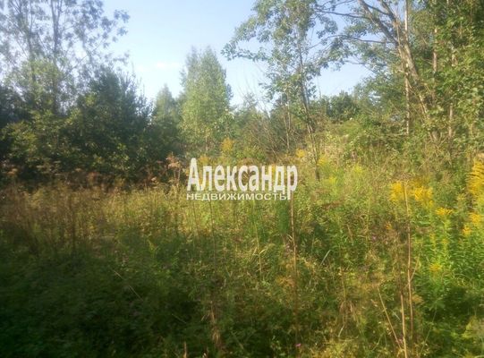 Объект по адресу Москва, ССНТ массива Радофинниково тер 