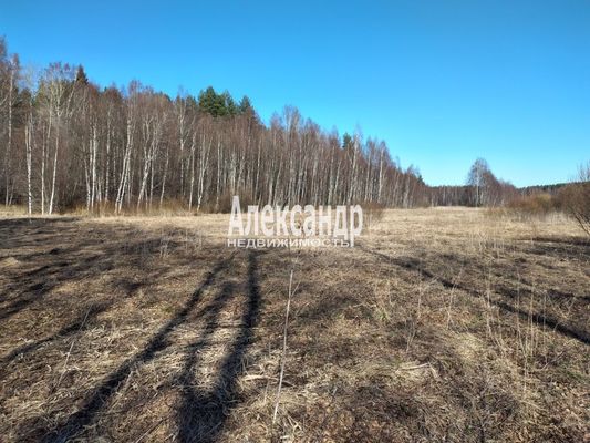 Объект по адресу Москва, Мыс п 