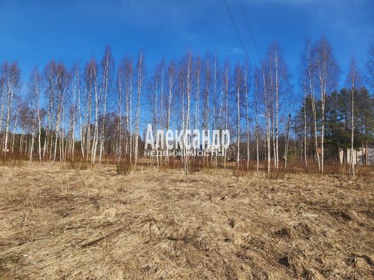 Объект по адресу Москва, ДНП Северное раздолье тер 