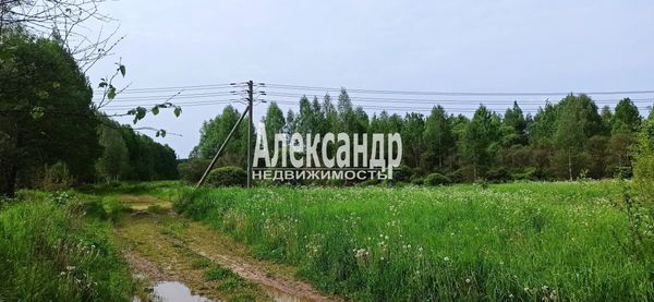 Объект по адресу Москва, Бор п 